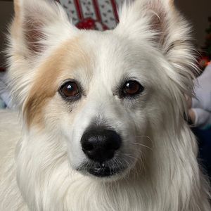 Meet your Posher, Mona